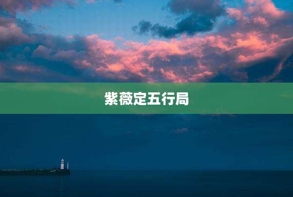 紫薇定五行局