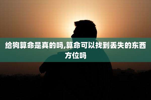 给狗算命是真的吗,算命可以找到丢失的东西方位吗