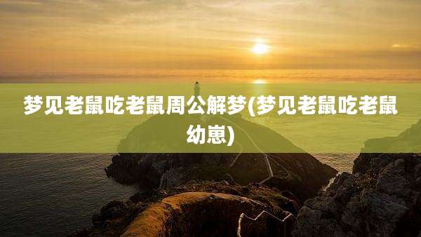 梦见老鼠吃老鼠周公解梦(梦见老鼠吃老鼠幼崽)