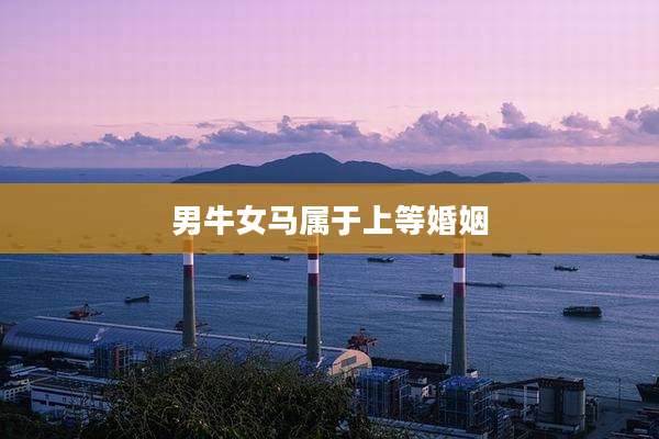 男牛女马属于上等婚姻