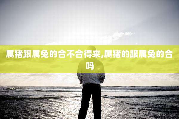 属猪跟属兔的合不合得来,属猪的跟属兔的合吗
