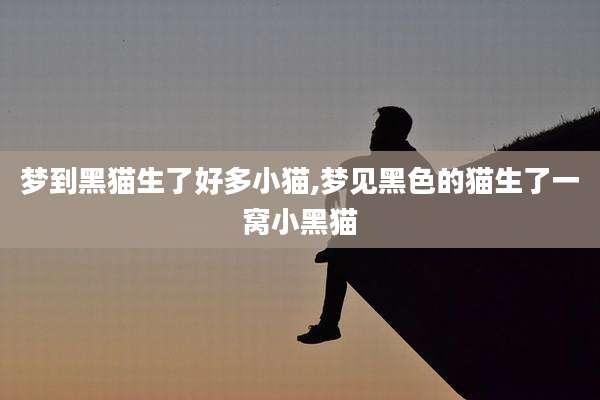 梦到黑猫生了好多小猫,梦见黑色的猫生了一窝小黑猫