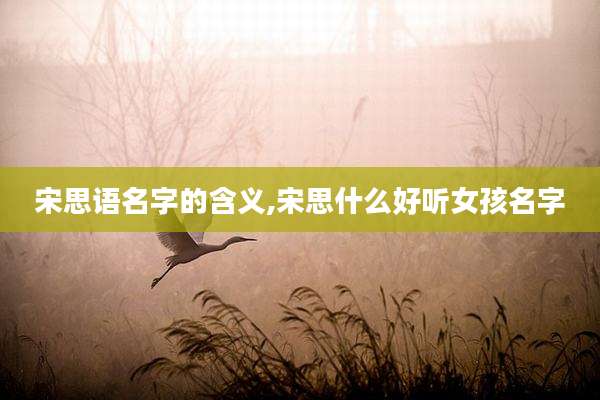 宋思语名字的含义,宋思什么好听女孩名字