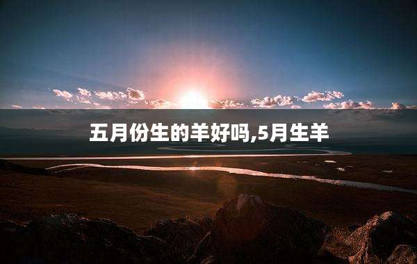 五月份生的羊好吗,5月生羊