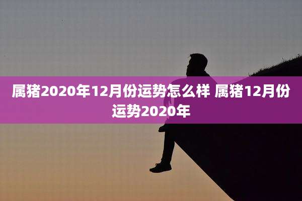 属猪2020年12月份运势怎么样 属猪12月份运势2020年