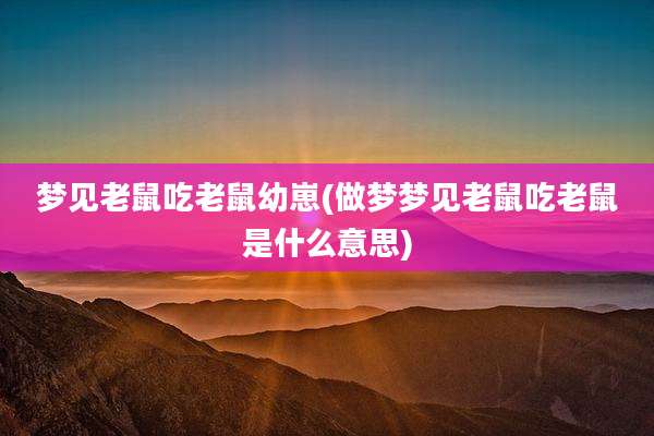 梦见老鼠吃老鼠幼崽(做梦梦见老鼠吃老鼠是什么意思)