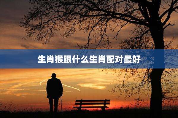 生肖猴跟什么生肖配对最好