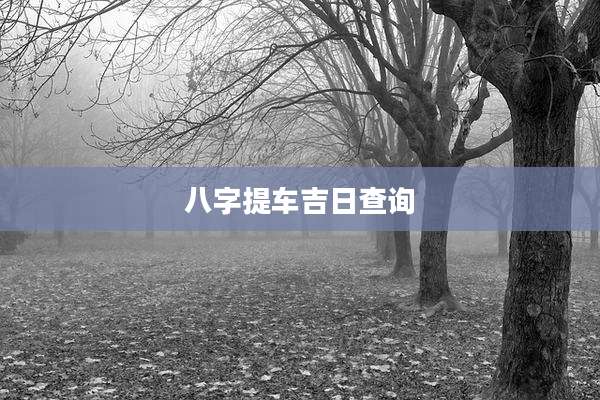 八字提车吉日查询