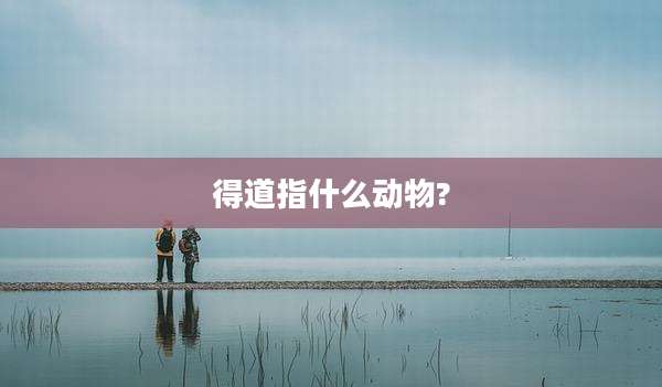 得道指什么动物?