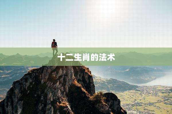十二生肖的法术