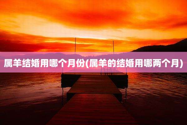 属羊结婚用哪个月份(属羊的结婚用哪两个月)