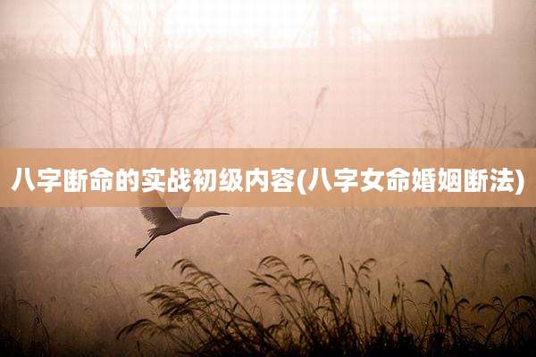 八字断命的实战初级内容(八字女命婚姻断法)