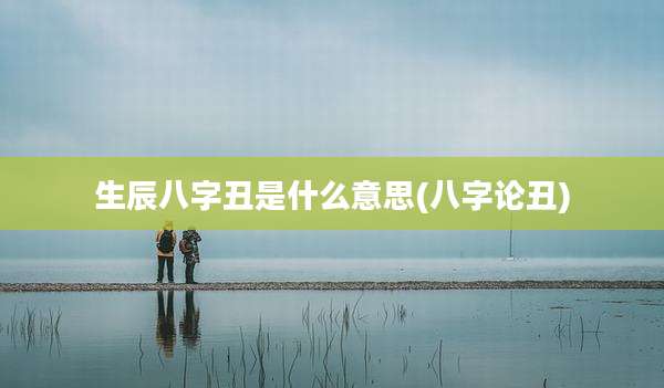 生辰八字丑是什么意思(八字论丑)