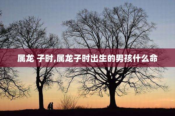 属龙 子时,属龙子时出生的男孩什么命