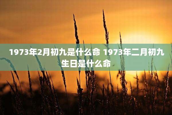 1973年2月初九是什么命 1973年二月初九生日是什么命