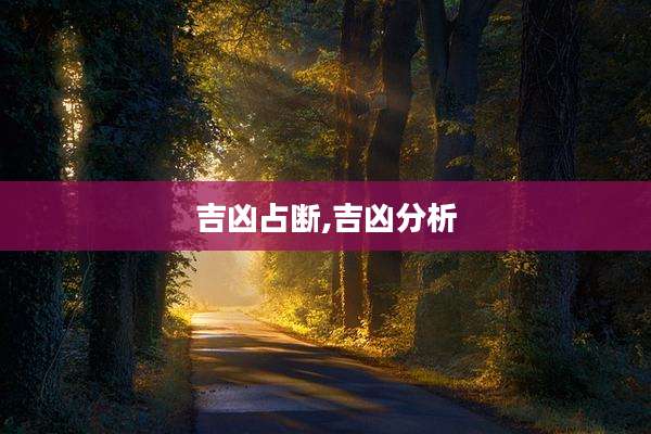 吉凶占断,吉凶分析
