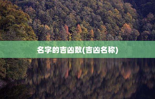 名字的吉凶数(吉凶名称)
