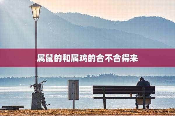 属鼠的和属鸡的合不合得来