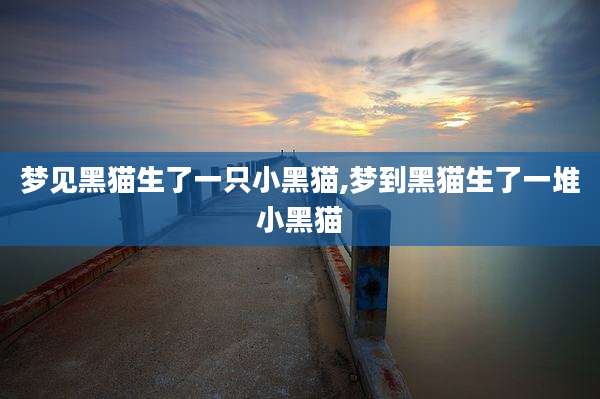 梦见黑猫生了一只小黑猫,梦到黑猫生了一堆小黑猫