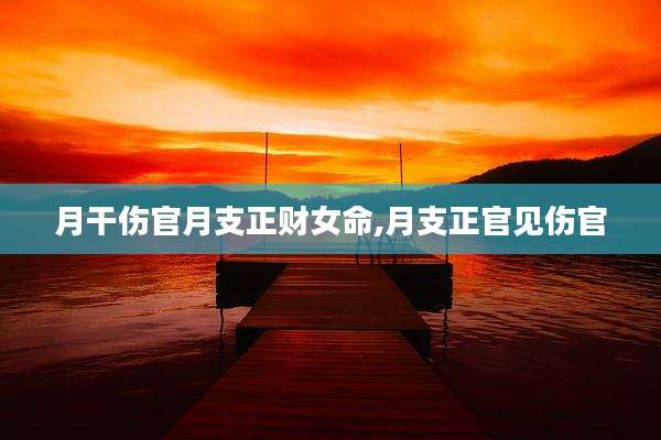 月干伤官月支正财女命,月支正官见伤官