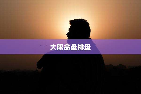 大限命盘排盘