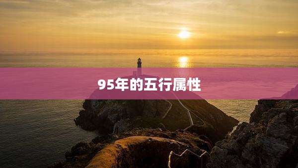 95年的五行属性