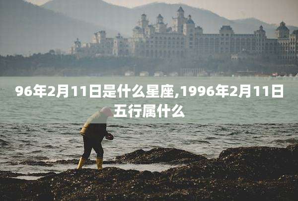 96年2月11日是什么星座,1996年2月11日五行属什么