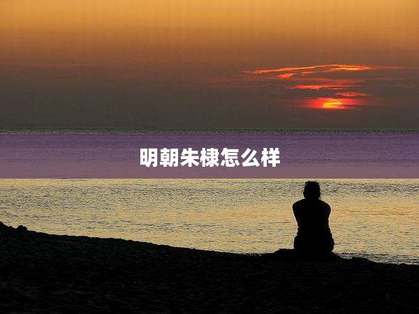 明朝朱棣怎么样