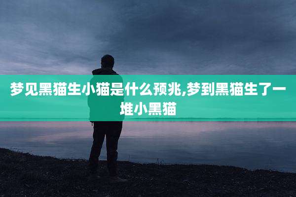 梦见黑猫生小猫是什么预兆,梦到黑猫生了一堆小黑猫