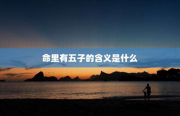 命里有五子的含义是什么