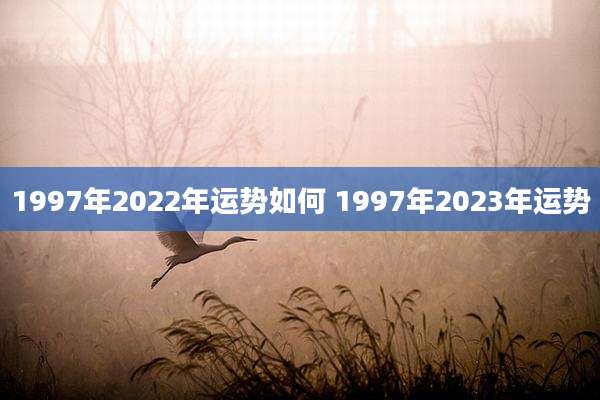 1997年2022年运势如何 1997年2023年运势