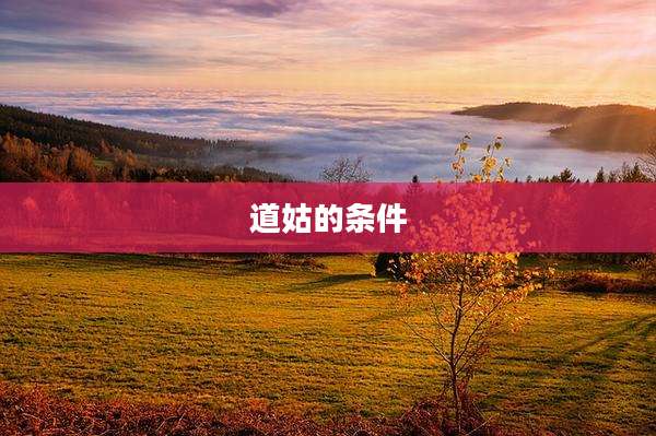 道姑的条件