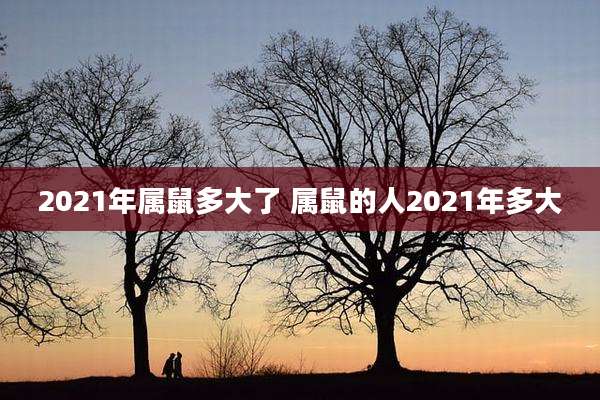 2021年属鼠多大了 属鼠的人2021年多大
