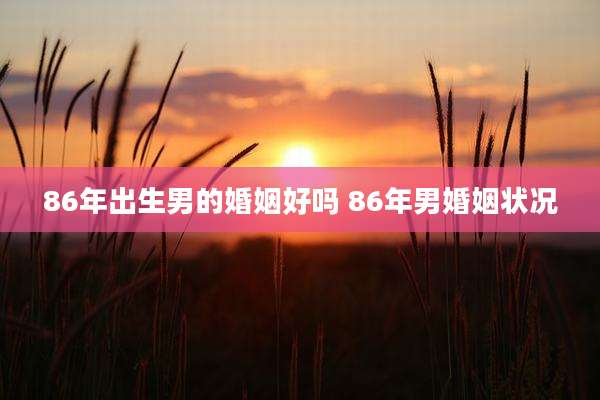 86年出生男的婚姻好吗 86年男婚姻状况
