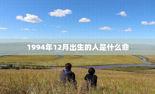 1994年12月出生的人是什么命