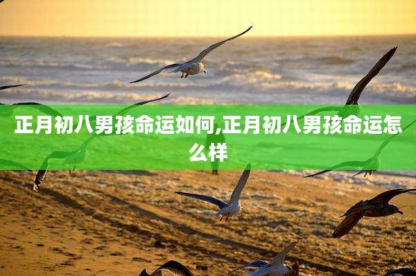 正月初八男孩命运如何,正月初八男孩命运怎么样