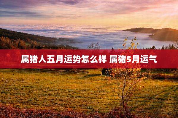 属猪人五月运势怎么样 属猪5月运气