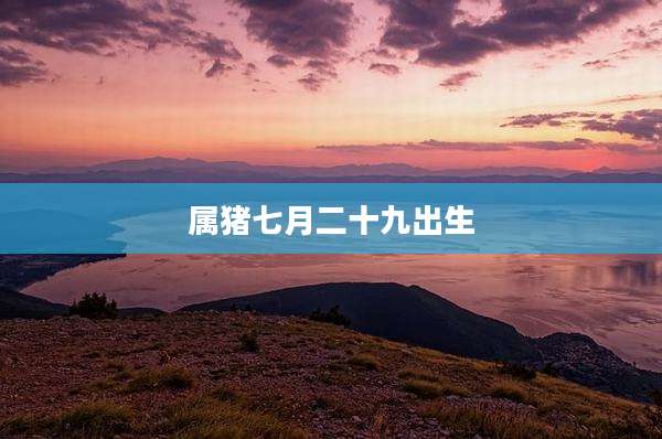 属猪七月二十九出生