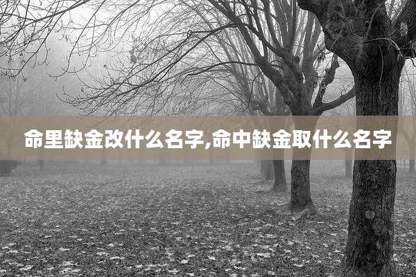 命里缺金改什么名字,命中缺金取什么名字