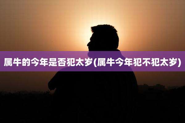 属牛的今年是否犯太岁(属牛今年犯不犯太岁)