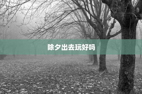 除夕出去玩好吗