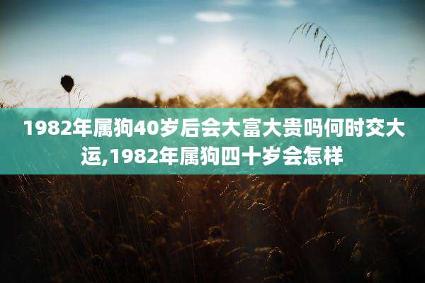 1982年属狗40岁后会大富大贵吗何时交大运,1982年属狗四十岁会怎样