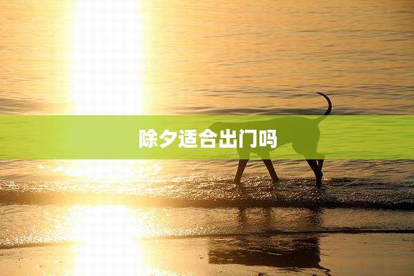 除夕适合出门吗
