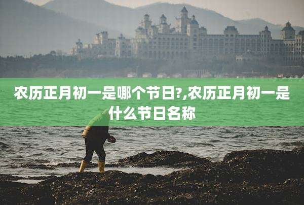 农历正月初一是哪个节日?,农历正月初一是什么节日名称