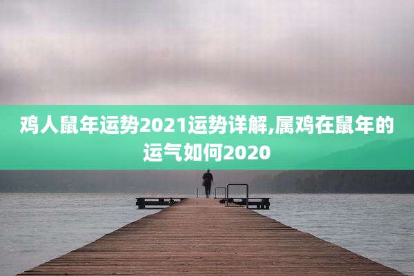 鸡人鼠年运势2021运势详解,属鸡在鼠年的运气如何2020