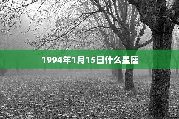 1994年1月15日什么星座