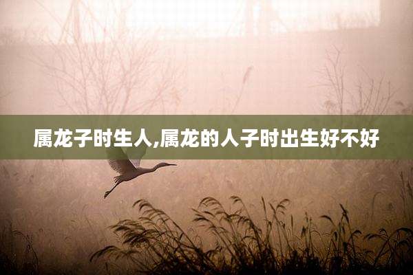 属龙子时生人,属龙的人子时出生好不好