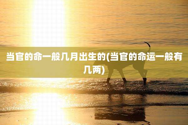 当官的命一般几月出生的(当官的命运一般有几两)