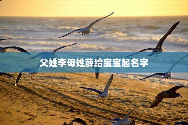 父姓李母姓薛给宝宝起名字
