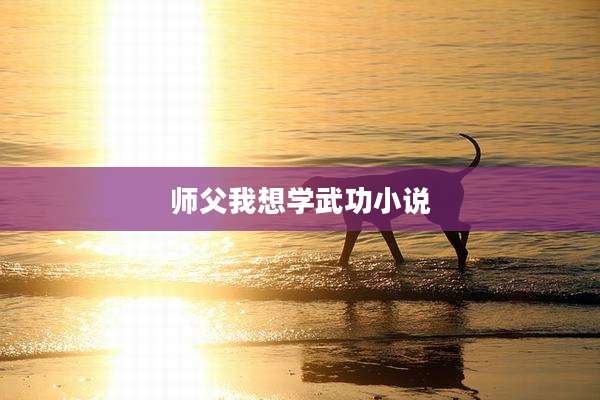 师父我想学武功小说